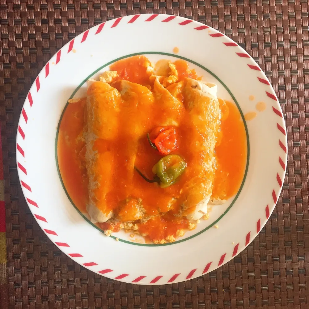 Papadzules con salsa de tomate, de mi recetario